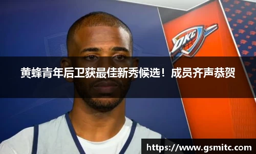 凤凰联盟首页官网