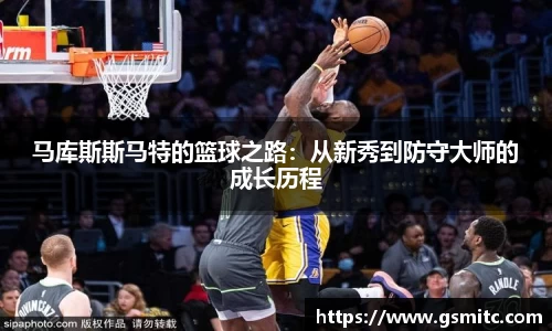 凤凰联盟平台